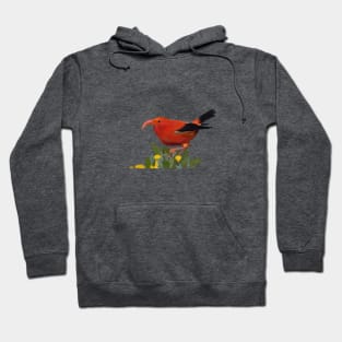 ‘Iʻiwi, Hawaiian Bird Hoodie